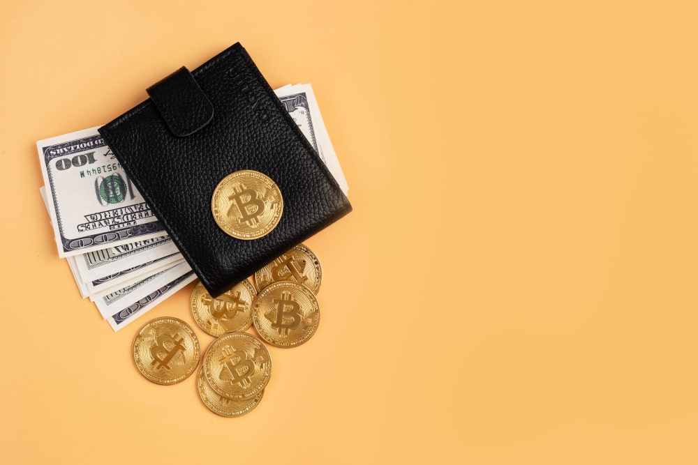 Bitcoin Wallet Should I Choose